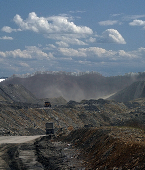 felisorb is made from renewable crops